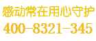 金蛇保险柜